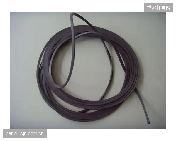SGS为国内体育场馆提供水下LED系统预认证,水压仓耐压密闭性成为硅橡胶接头关键考核指标 SGS为国内体育场馆提供水下LED系统预认证,水压仓耐压密闭性成为硅橡胶接头关键考核指标